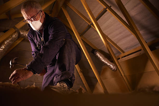 Trusted Truckee, CA Insulation Contractor Experts