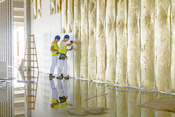 Types of Insulation We Offer in Truckee, CA